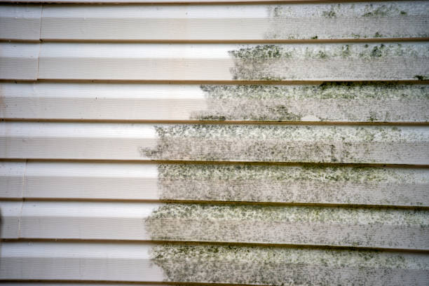 Best Composite Siding  in Marbury, AL