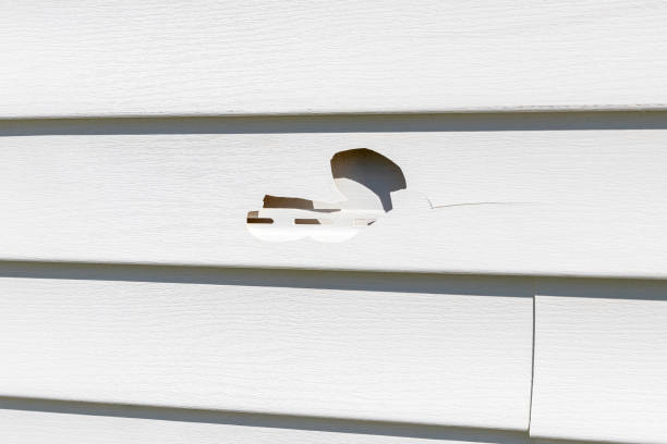 Best Wood Siding Installation  in Marbury, AL
