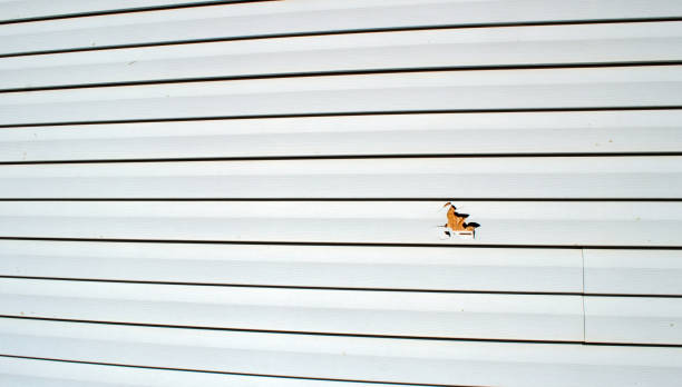 Best Storm Damage Siding Repair  in Marbury, AL
