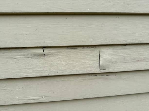 Best Brick Veneer Siding  in Marbury, AL